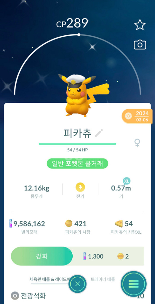 포켓몬고 코스튬 이로치 피카츄 판매--0