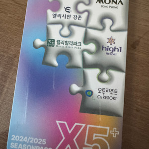 시즌권X5