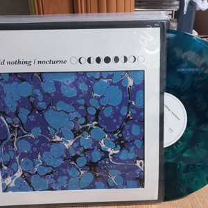 와일드 나씽 wild nothing lp