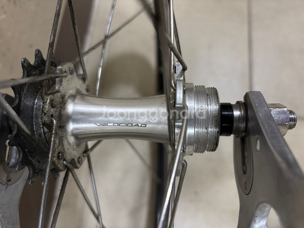 진바이크 야누스--3