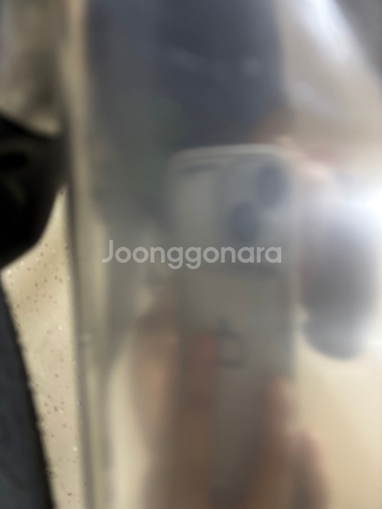 진바이크 야누스--4