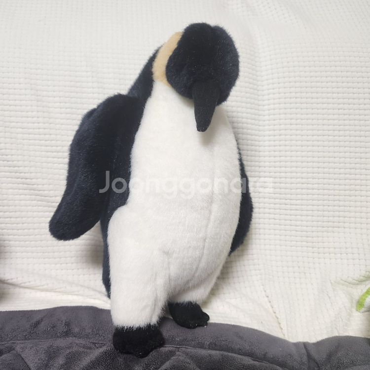에버랜드 펭귄 인형--1