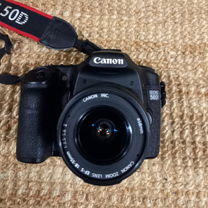 CANON 50D디지털카메라