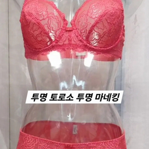 여자 토로소 투명 마네킹