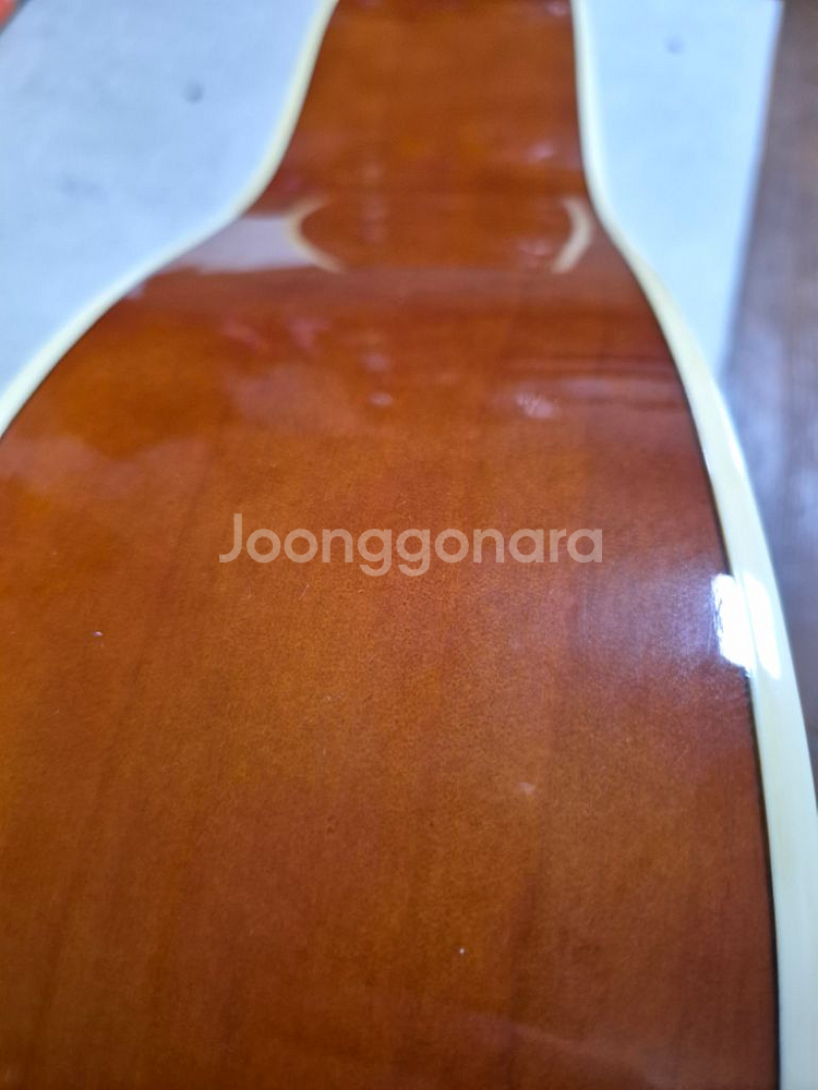 통기타(데임 릴리즈 70)[DAME-LILIES 70]--7