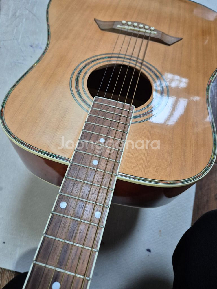 통기타(데임 릴리즈 70)[DAME-LILIES 70]--3