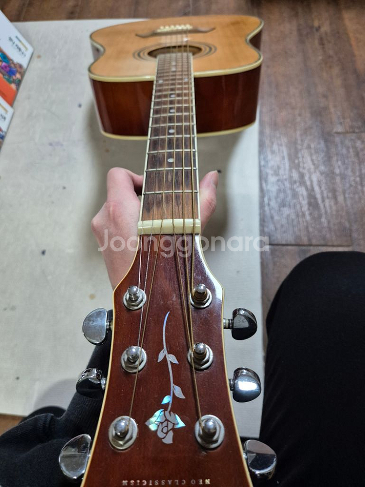 통기타(데임 릴리즈 70)[DAME-LILIES 70]--4