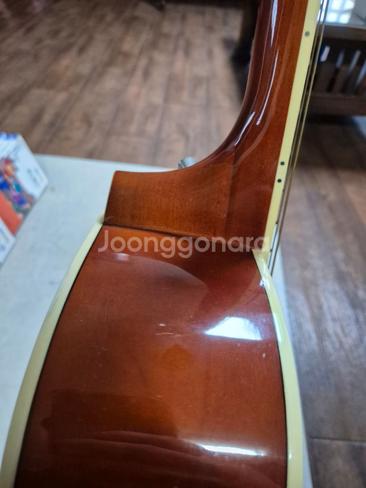 통기타(데임 릴리즈 70)[DAME-LILIES 70]--6