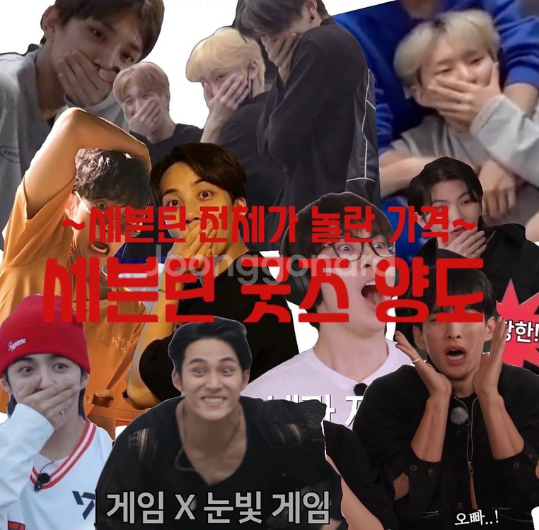 세븐틴 굿즈 양도 합니다--1