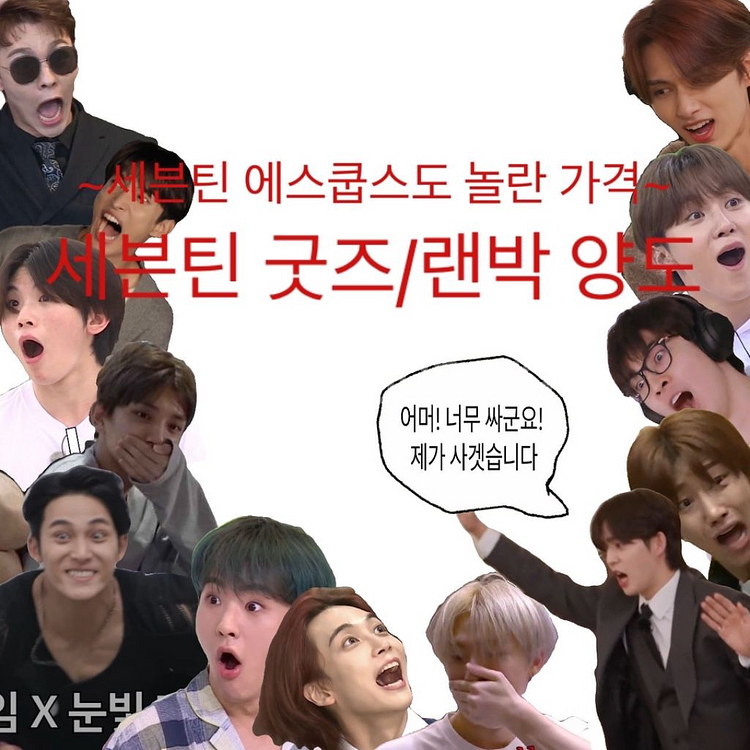 세븐틴 굿즈 양도--1
