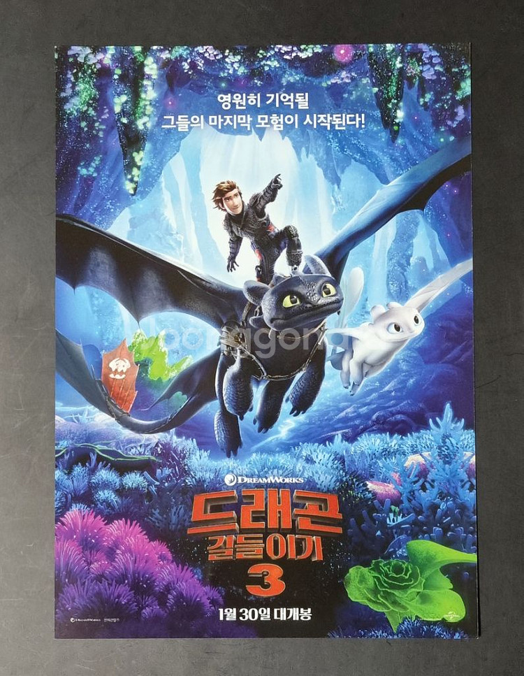 [영화팜플렛] 드래곤길들이기3 (2019) 영화전단지--0