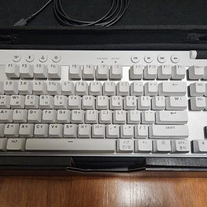 로지텍 g pro x tkl 팝니다