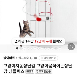 고양이 자동 장난감