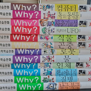 Why 시리즈 12종