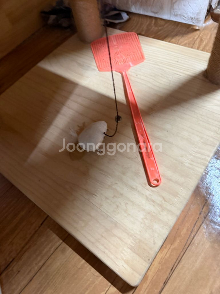 고양이 원목 캣타워--5