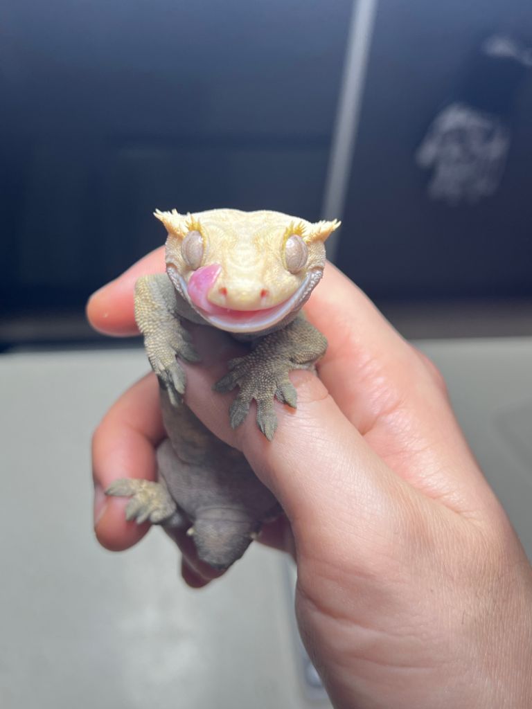 프로파일