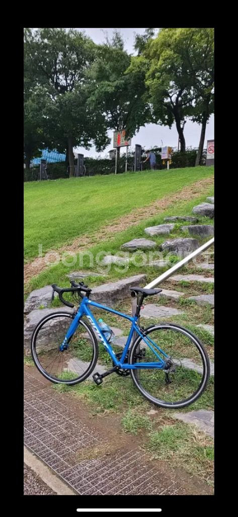자이언트 scr2 2023 로드,픽시 대차 구합니다--3