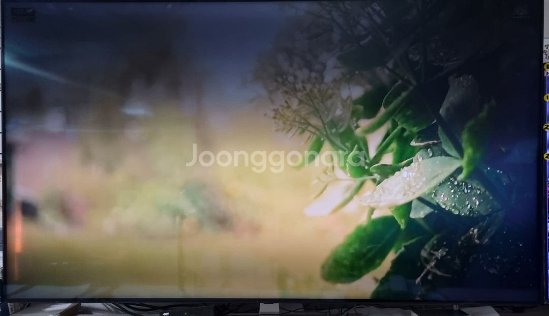 LG 65인치 TV/액정파손 부품용--2