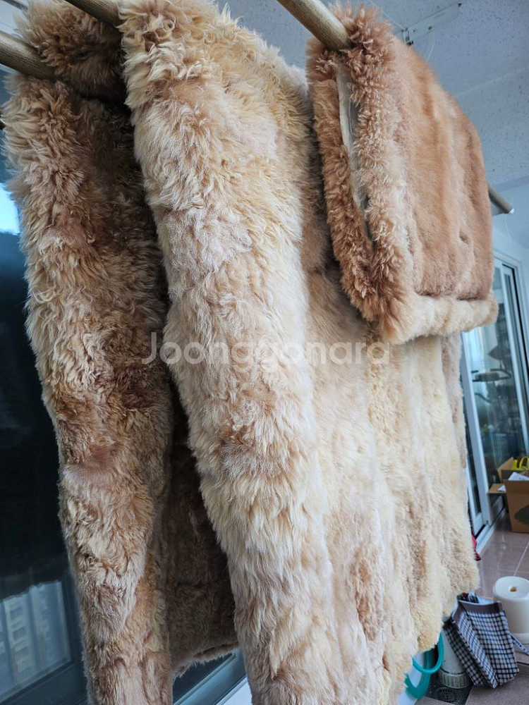 알파카 카페트--2