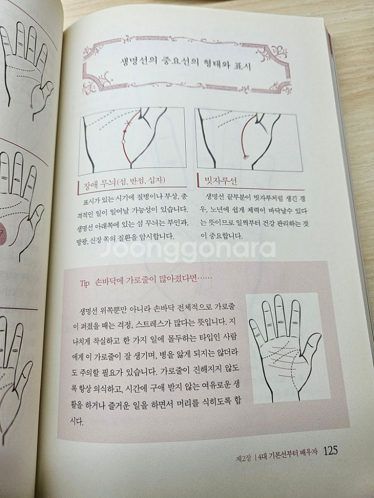 도서) 손금해석의 정석--2