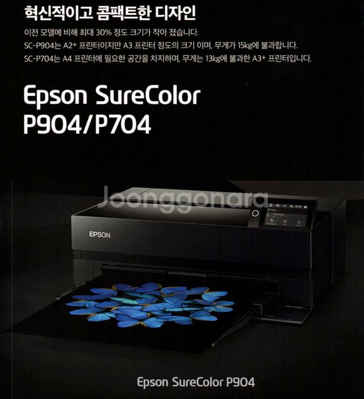 엡손 P-904--1