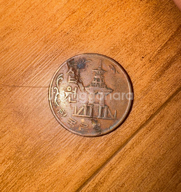 1969,1970년도 10원/1970년도 100원--4