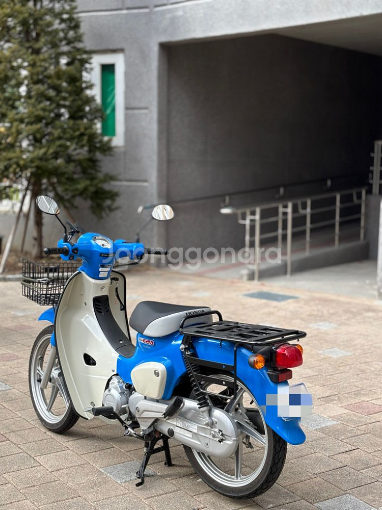 2024년식 혼다슈퍼커브 110--1