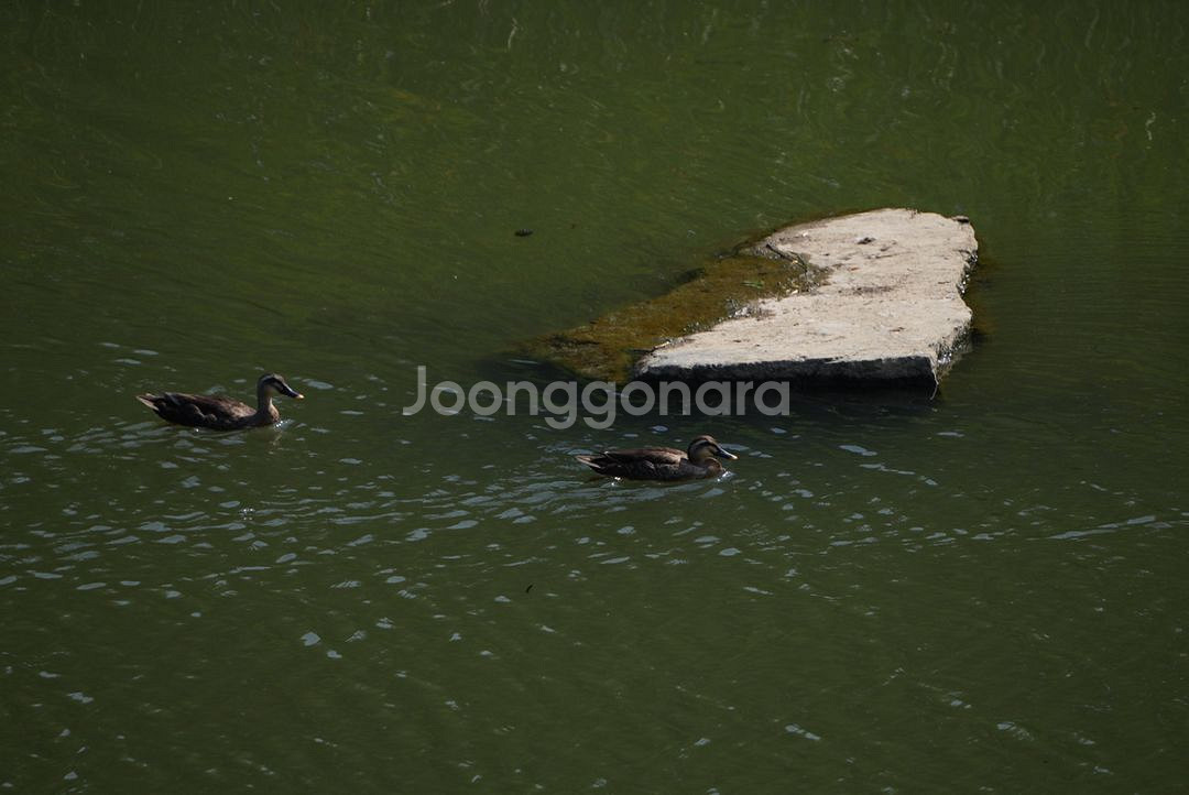 탐론 70-300mm F/4.5-6.3 소니FE마운트--3
