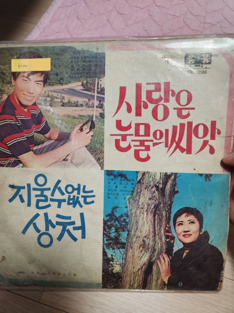 사랑은 눈물의 씨앗/지울수 없는 상처 LP