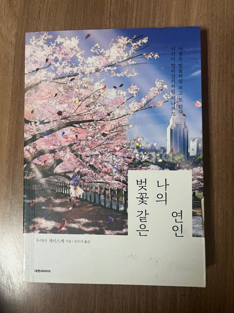 벚꽃같은 나의 연인--0