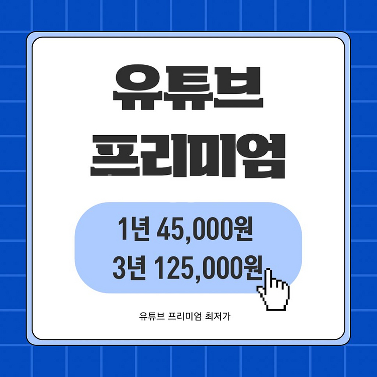 유튜브 프리미엄 뮤직 12개월 최저가--0