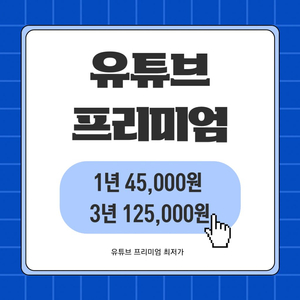 유튜브 프리미엄 뮤직 12개월 최저가