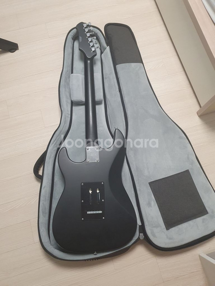 hex E100 lite 일렉기타--2