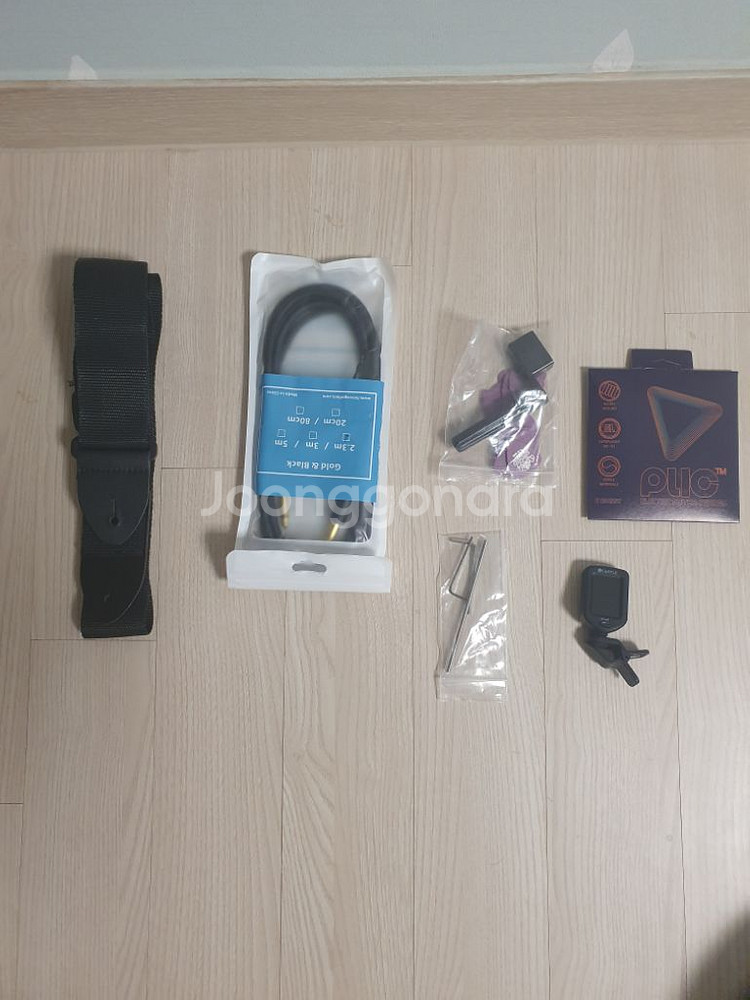 hex E100 lite 일렉기타--3