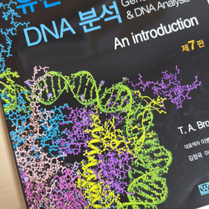 유전자 클로닝과 DNA 분석