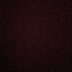 입양하세요 악콘팔아요