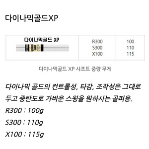 다이나믹골드 XP 4~P 아이언 샤프트