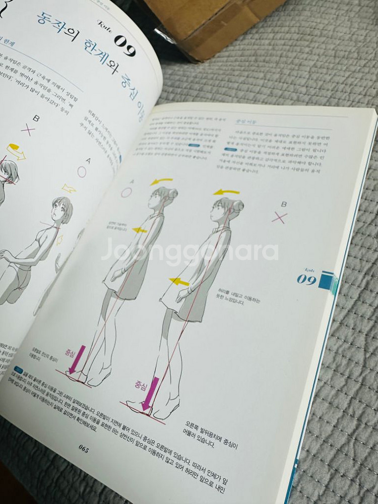 애니메이터가 가르쳐주는 캐릭터 그리기의 기본 법칙--1