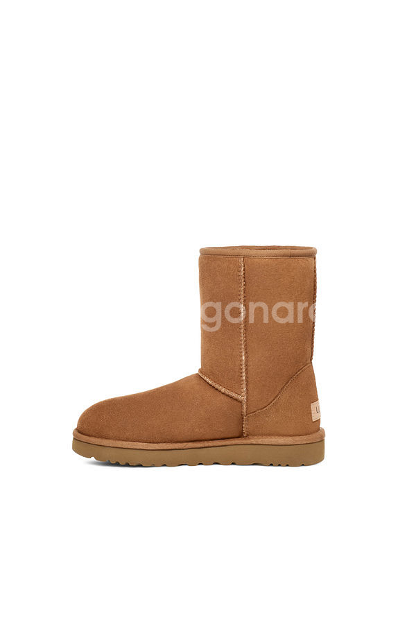 UGG 클래식 숏2부츠 체스트넛240 ,1016223--2