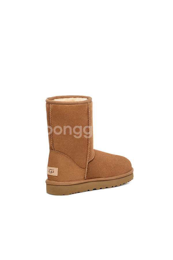 UGG 클래식 숏2부츠 체스트넛240 ,1016223--3