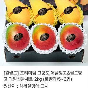 애플망고&골드망고 과일선물세트(2kg)