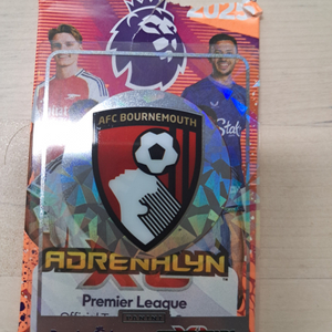 파니니 afc bournemouth 크리스탈 카드