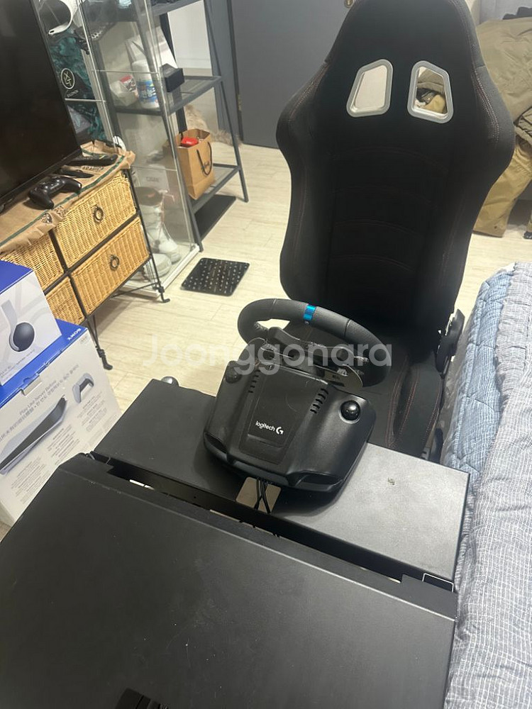 페인 레이싱 휠 시트,거치대 + 로지텍 G29 드라이빙--1