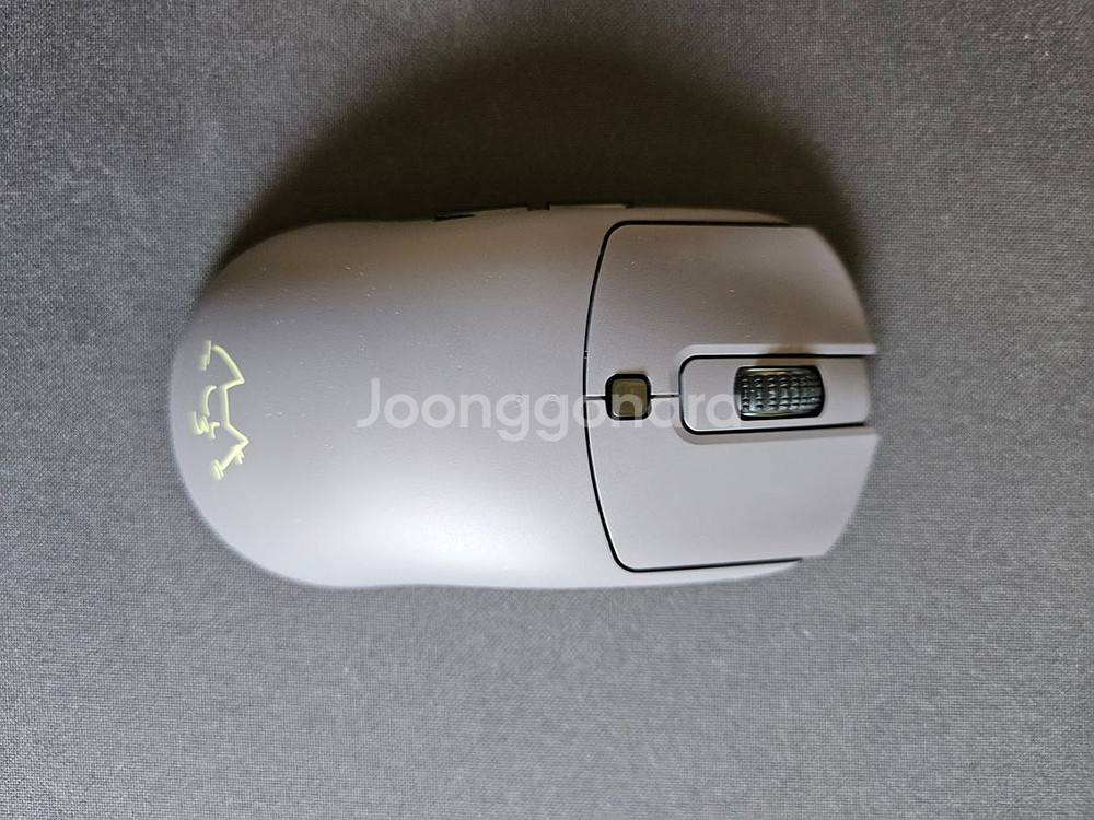 벡시 xe-s 시시로보탄 에디션--1