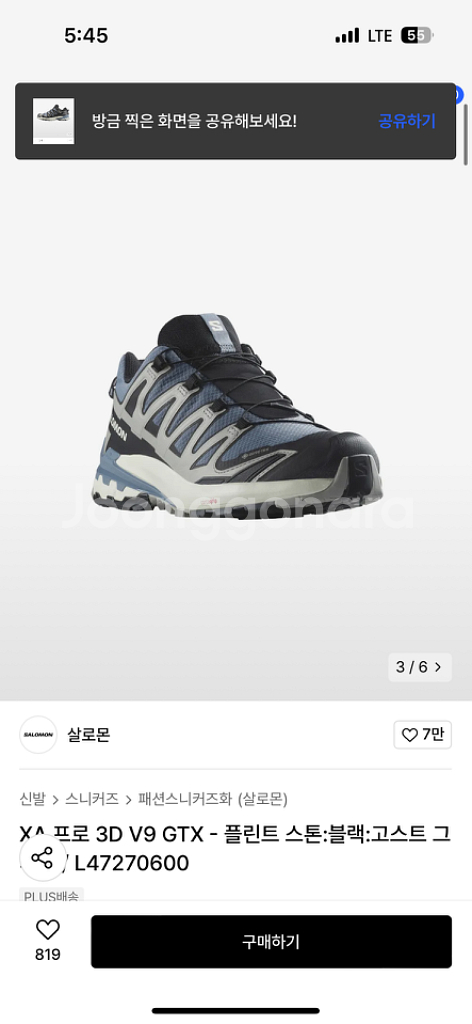 살로몬--2