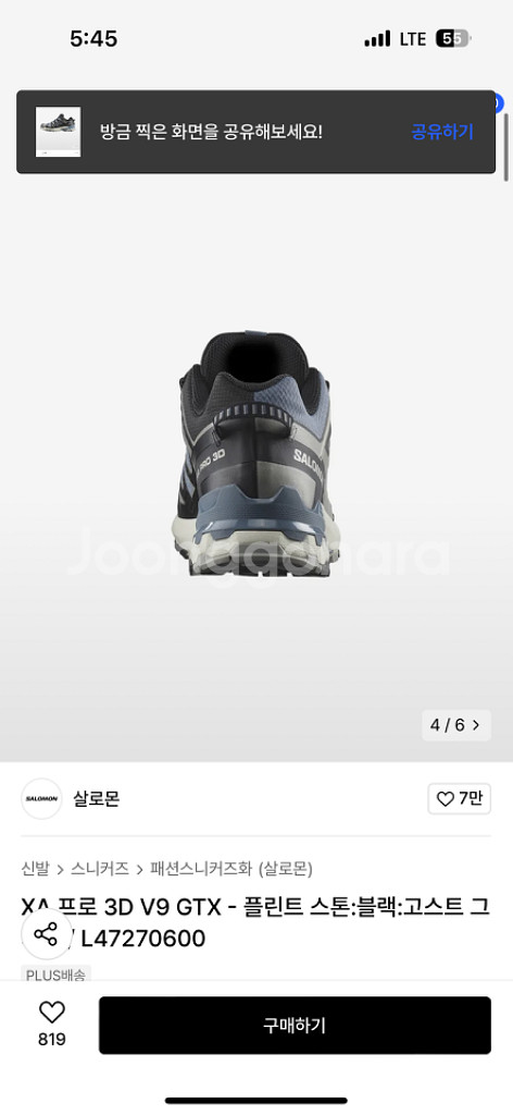 살로몬--1