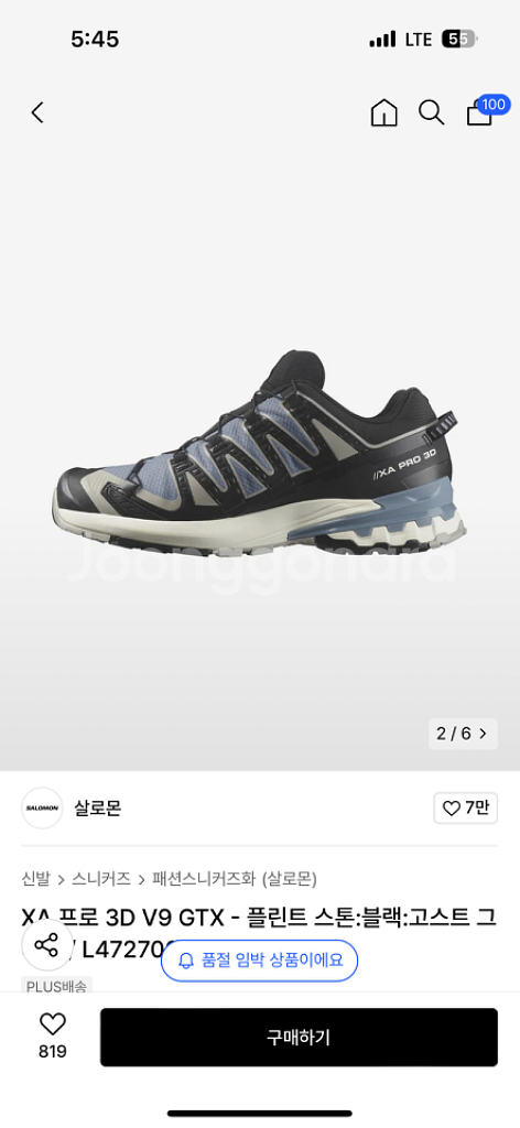 살로몬--4