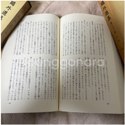 모리 오가이 전집(총 21권) 희소가치. 책테크 하세요--4