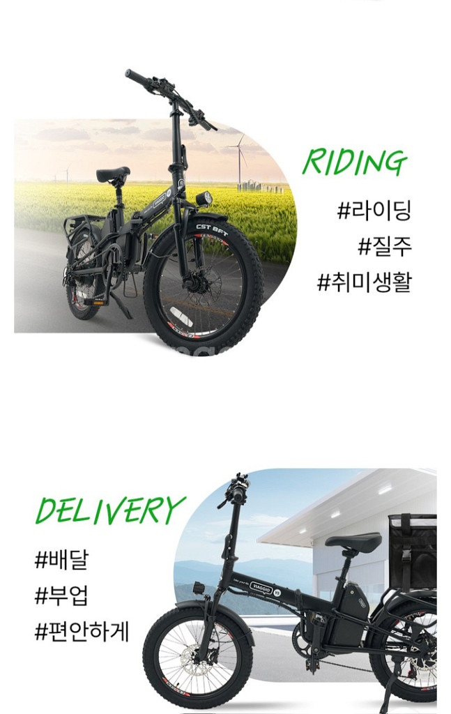 VIAGGIO V5전기자전거(PAS)--1