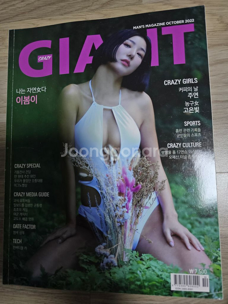 크레이지 자이언트 18년도 9월호 22년 과월호 팝니다--2